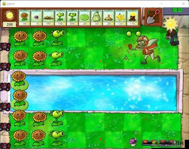 免费人马大战 CSDN 的软件:新奇玩法来袭