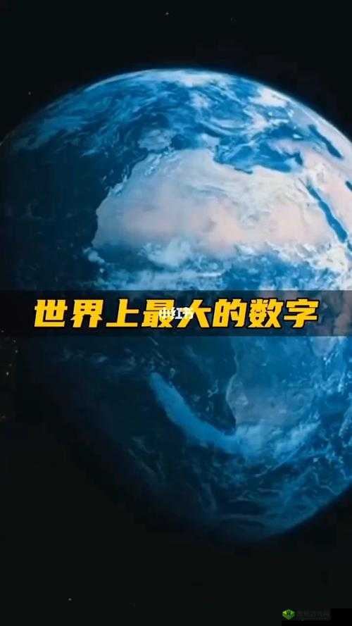 成品网站源码1288隐藏通道：神秘的数字世界