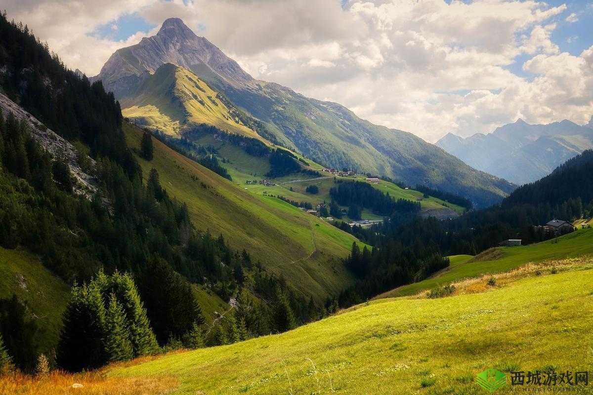 有一根又黑又硬的蘑菇头详细区分类型：探秘其奥秘