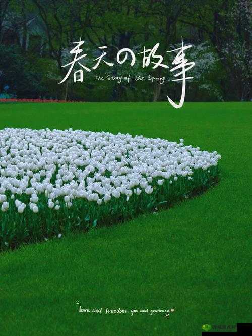 老孙头的春天林初晴:故事开始