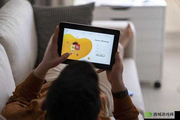 九幺 pro：一款强大的产品