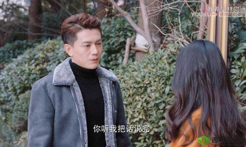 无人高清电视剧在线观看：精彩剧集随心享