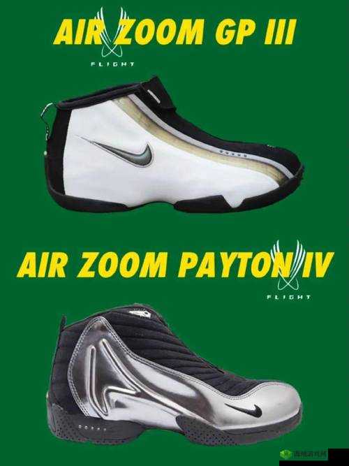 Zoom 另一类 ZZO03:相关介绍