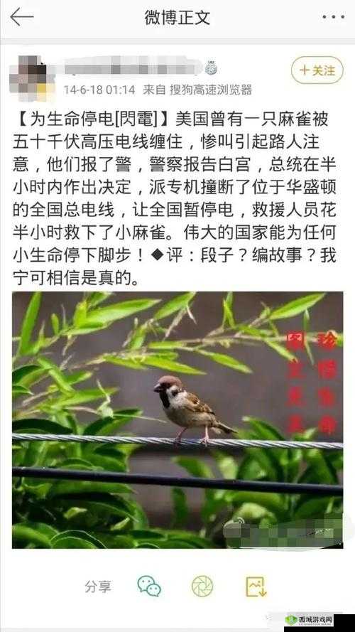 655fun.黑料热点事件-黑料不打:网络热点事件的真相揭秘