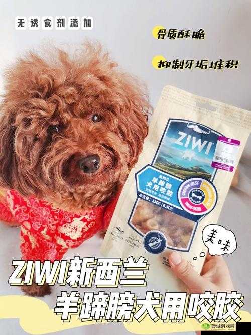 人狗胶配方大全图片：探索未知的秘密