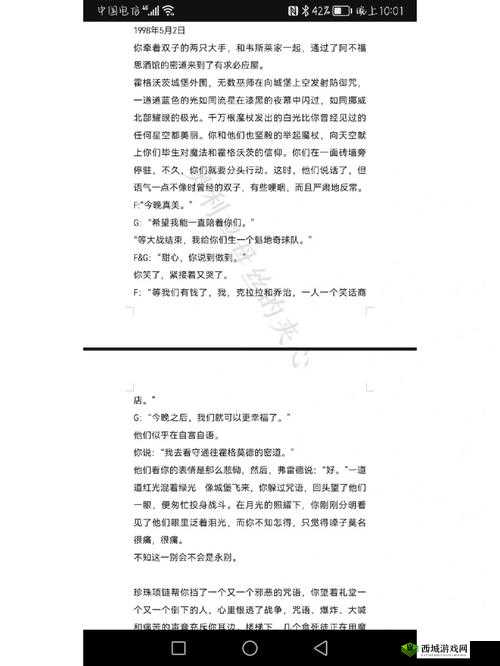 双胞胎一前 一后夹心饼干双子全攻略:实用指南