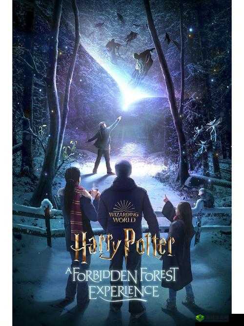 哈利波特禁林手记:神秘探险之旅