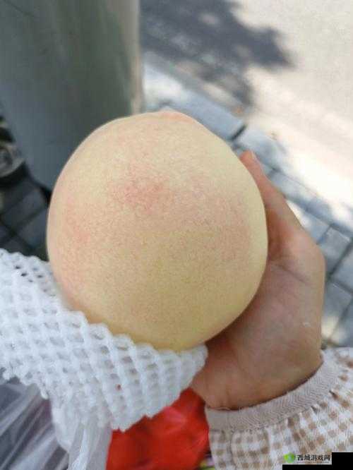 巨无霸水蜜桃水帘洞的奇妙之旅