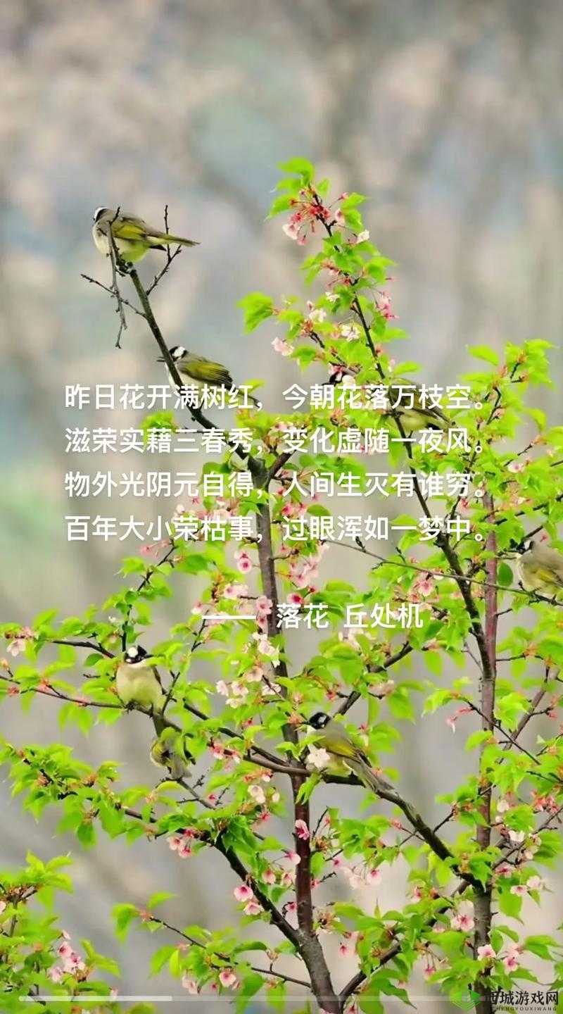 亭亭玉立国色天香四月天:绝美之景正当时