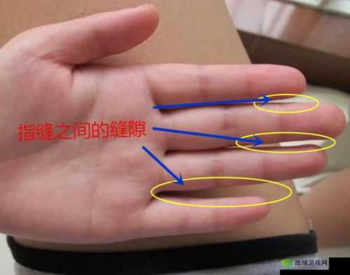 手指划入缝隙-挖水解密之探索