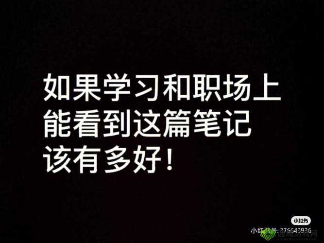 可不可以干湿解释：深度剖析与全面解读