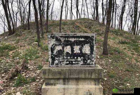 汉王纷争背景下袁绍墓的位置揭秘：袁绍墓坐标览，历史遗迹探寻之旅