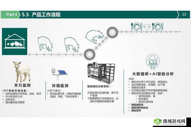 人畜禽 CORPORATION：打造行业新标杆