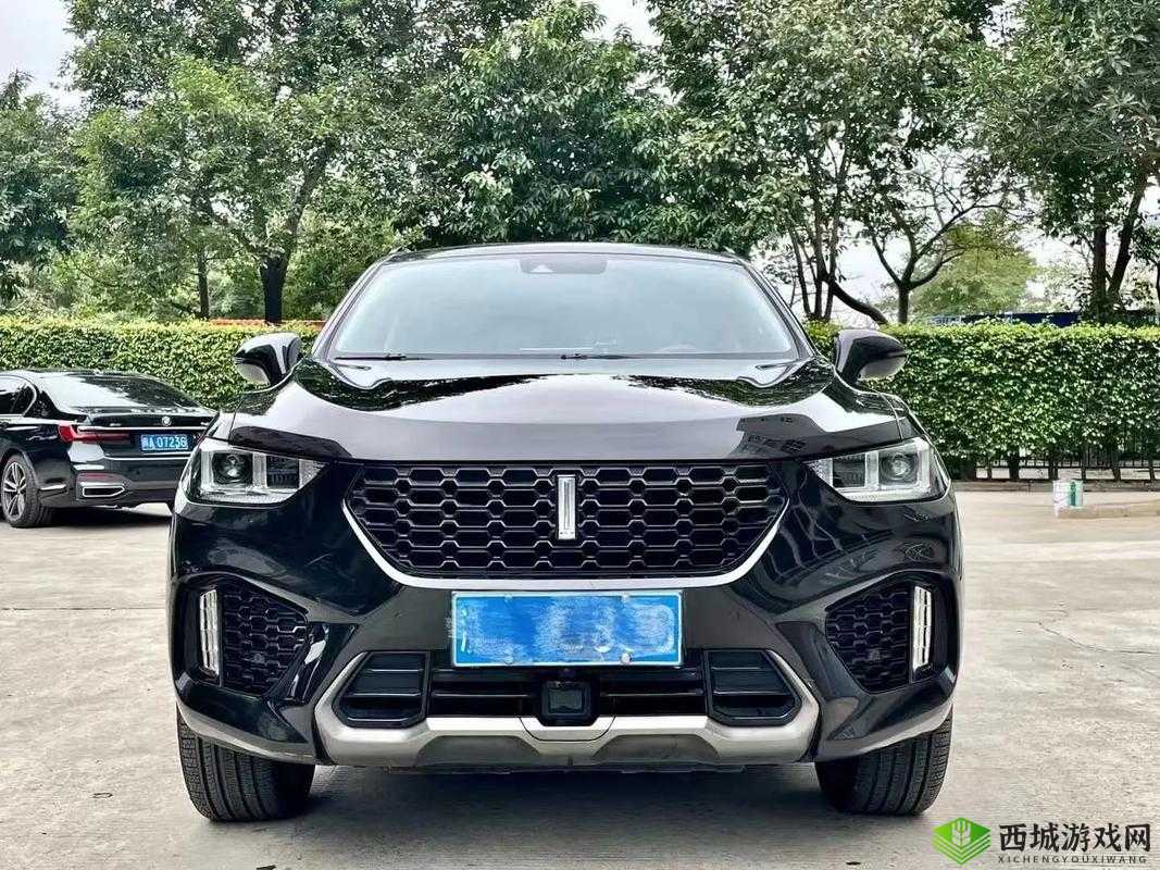 weyvv5 国产 SUV 视频展示：年轻时尚的驾驶之选