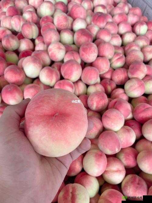 幸福的收获 sn3858 粉色水蜜桃的甜蜜体验