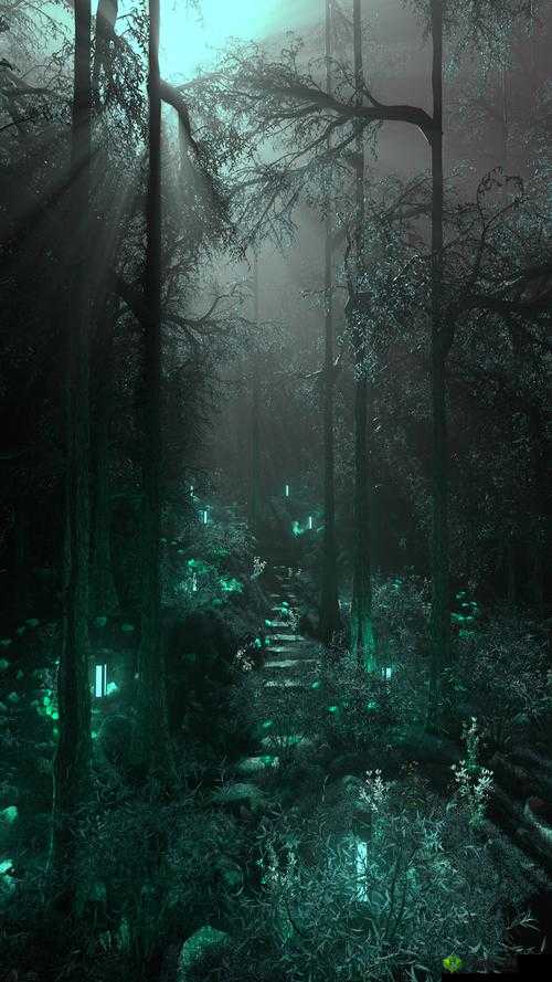 老人与森林：一场神秘的交易