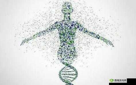人与猪的 DNA：探讨其奥秘与意义