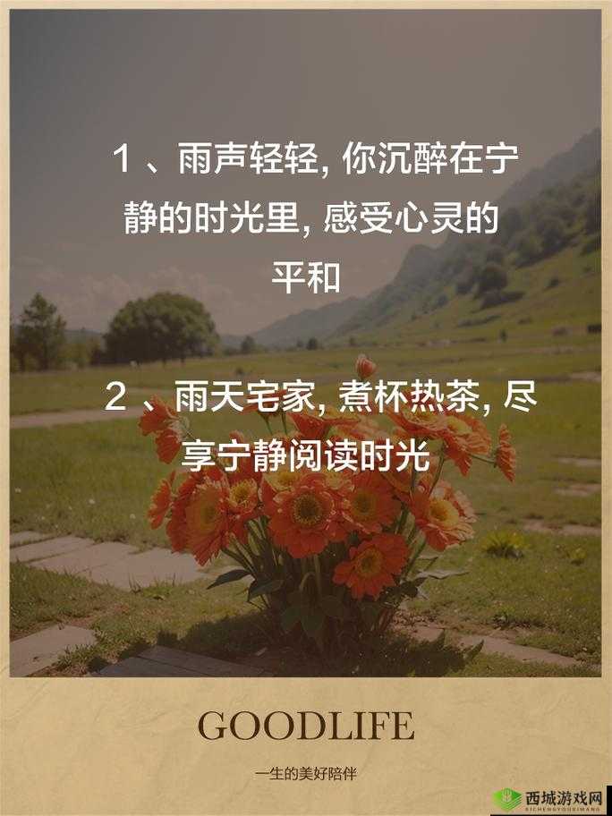 乖乖坐下来:享受片刻宁静时光