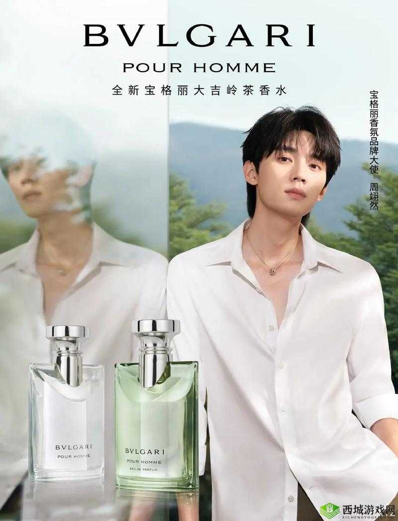 人与各种动 ZZZ0O0OXXX:探索未知的奇妙世界