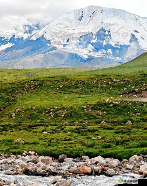 青春荷尔蒙在线观看免费:精彩等你开启