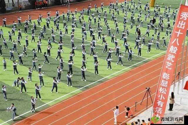 超级凌乱的校园运动会为何有:原因大揭秘