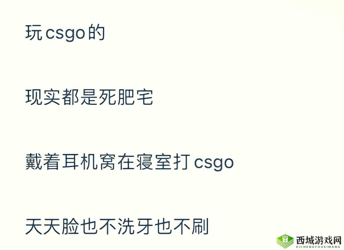 暴躁老阿姨CSGO技巧揭秘:实战要点全解析