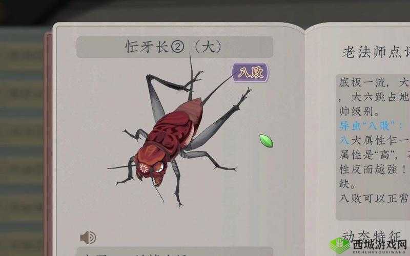 沉默的蟋蟀怎么进化的:探究其背后的秘密