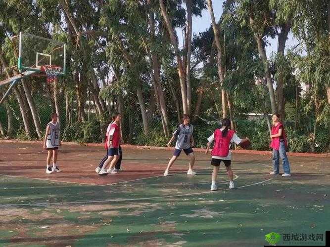 青春篮球魅力无限:玩法特色详解与乐趣探寻