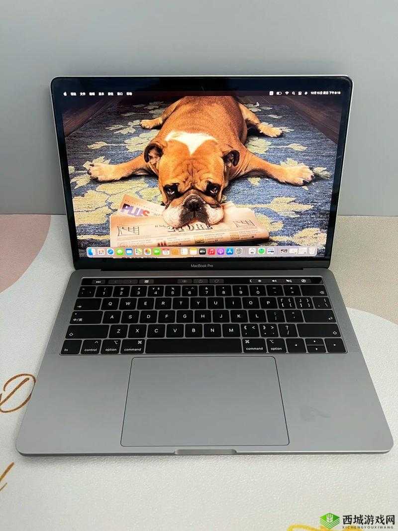 19 岁 MACBOOKPRO 欧美:青春的科技伙伴