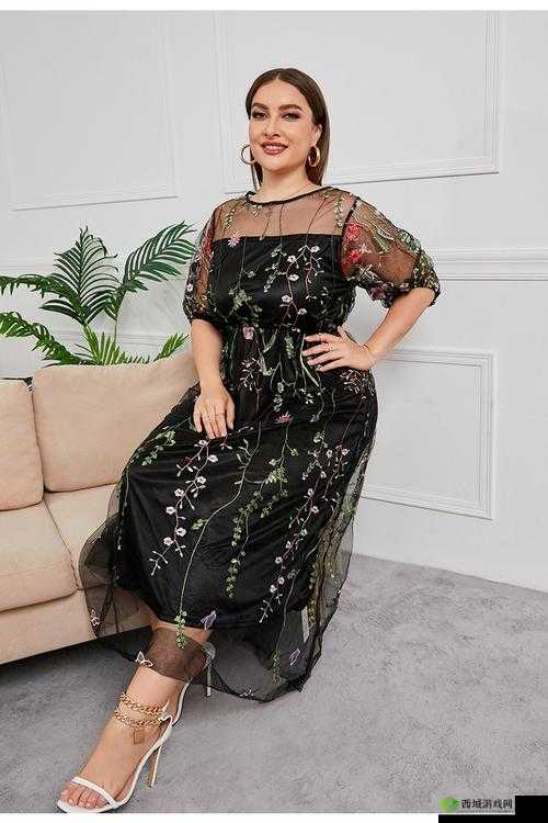 欧美风大码胖 mm 中长款连衣裙：尽显优雅魅力