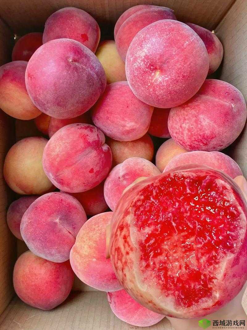 甜脆多汁的国产水蜜桃,你吃过吗?