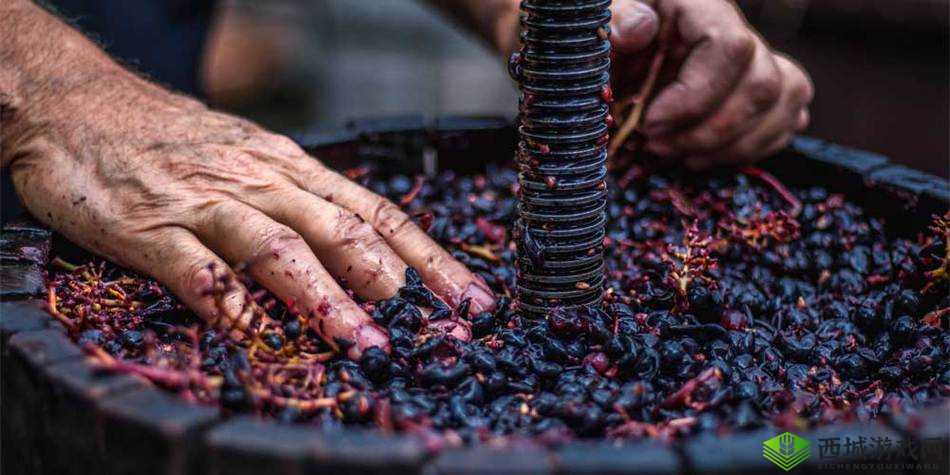 收入囊中校园 HPN 带来的独特体验