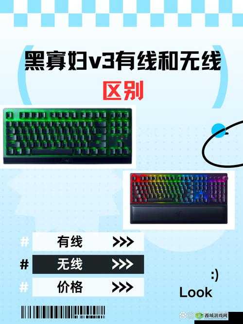 黑寡妇 V3 有线和无线区别之分析