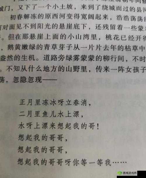 沦为教具的小诗:平凡中的深刻思考