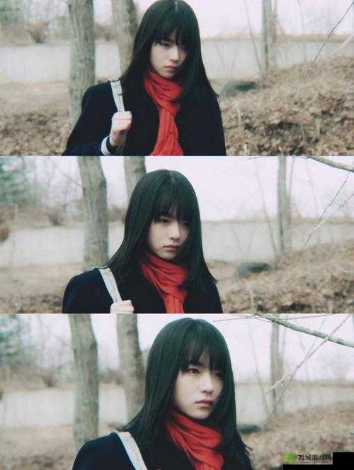 三叶草的春天:那些有关青春的记忆