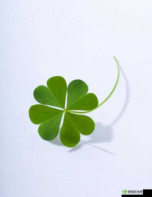 四叶草欧洲和国产区别:分析其不同之处