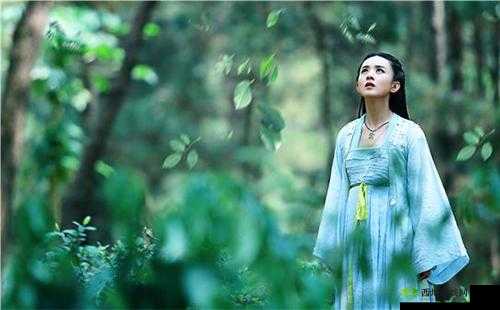 花千骨的日常生活:探索仙侠世界的精彩点滴