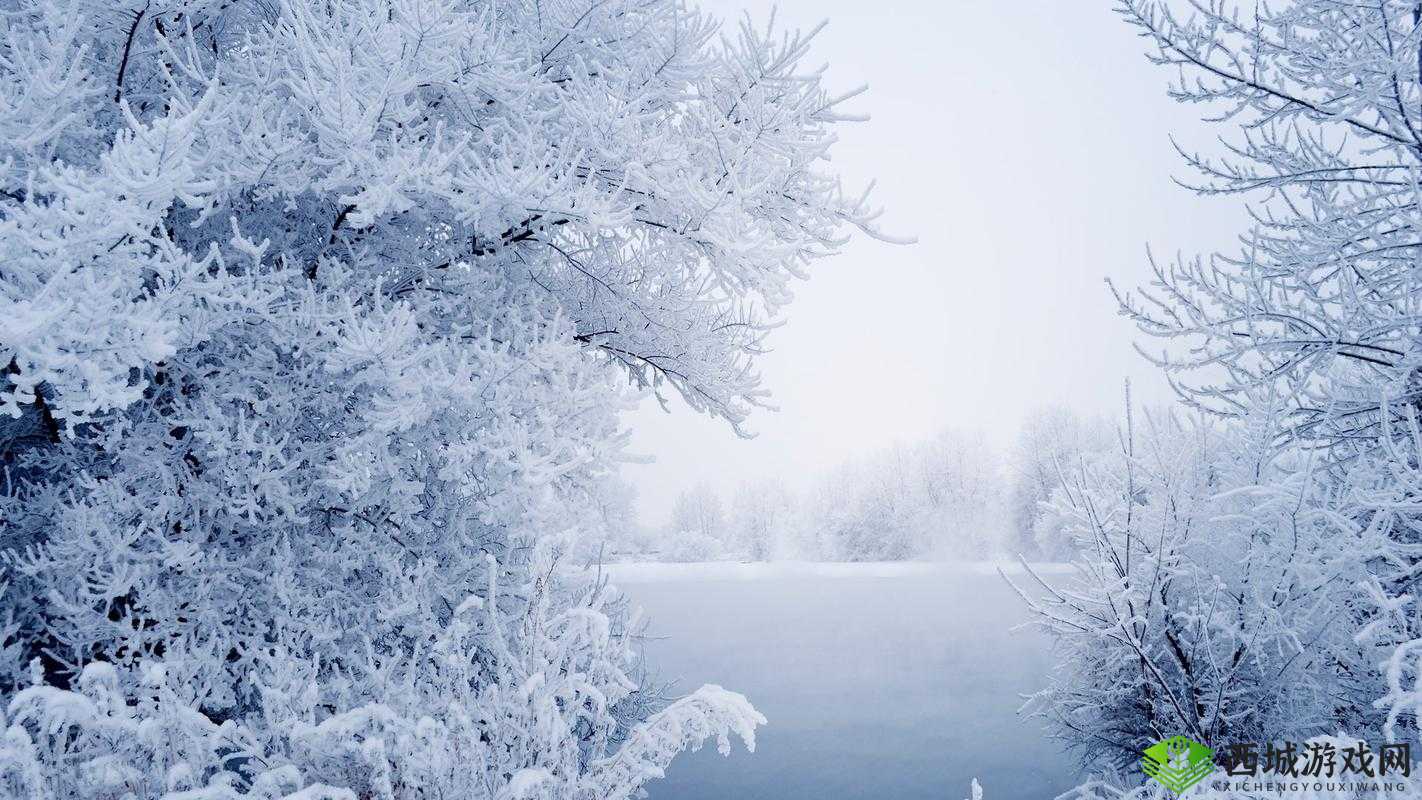跟女朋友妈妈视频问候的方式及话术