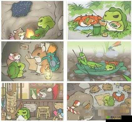 青蛙旅行被饿死?别怕,这些妙招让青蛙吃饱吃好