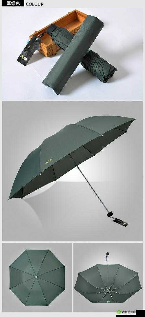 天堂伞 33188e 站在数字世界的边缘:探索未知