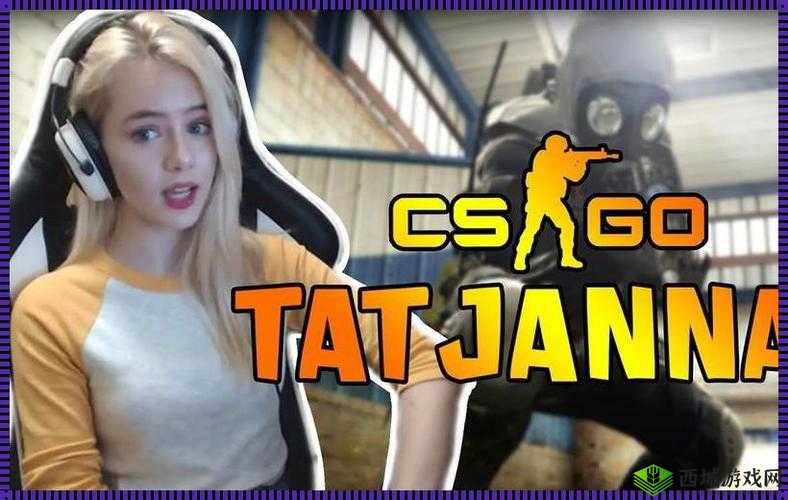 17 岁俄罗斯 CSGO 少年的精彩表现