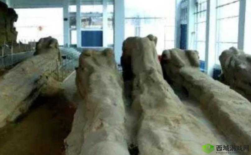 MR1242 国产吗：探寻其来源之谜