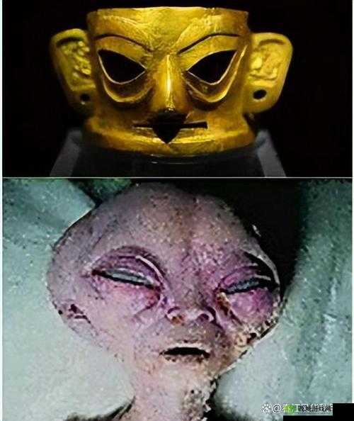 一觉醒来发现还在身体里：令人震惊的奇遇