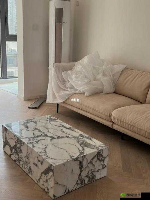 九个装修工人把我放在茶几上:为何这样做