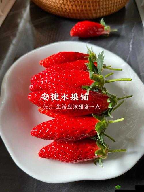 成都香蕉草莓科技有限公司:专注科技研发与创新