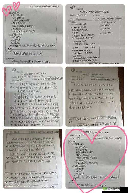 肉食教师食取报告 3HD:探索教育与人性的边界