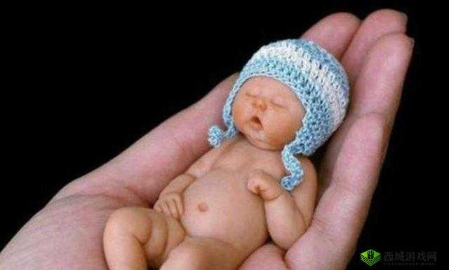 世界上最小 BB 有几个:探寻其奥秘