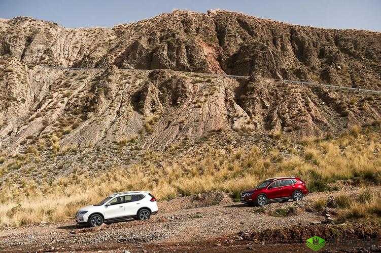 国产无人区码 SUV 新增欧洲日本精品资源- 探索未知的激情之旅