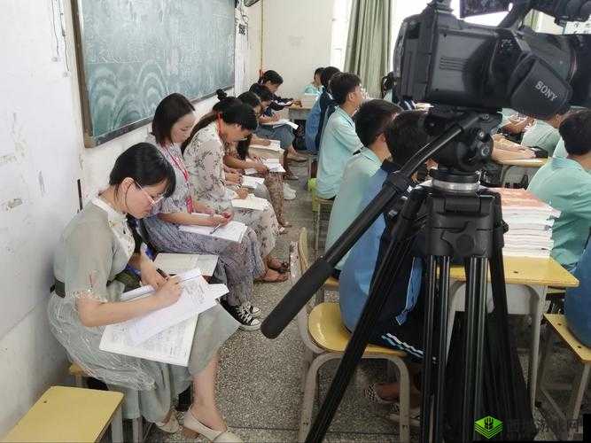 FREEZEFRAME 丰满老师:魅力课堂展现风采