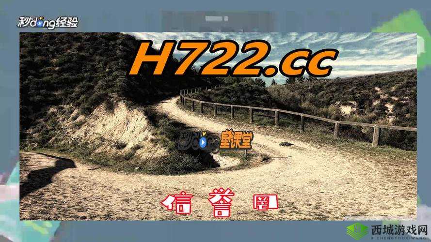 黄金网站APP在线观看下载大全:实用指南